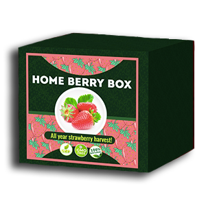 Home Berry Box conjunto de cultivo de fresa - comentarios de usuarios actuales 2020 - cómo usarlo, como funciona, opiniones, foro, precio, donde comprar, mercadona - España